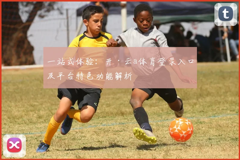一站式体验：开·云a体育登录入口及平台特色功能解析